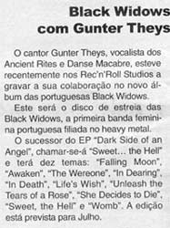Portuguese article